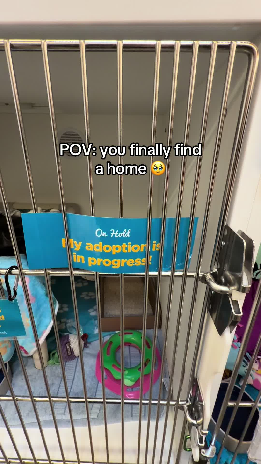 @San Diego Humane Society