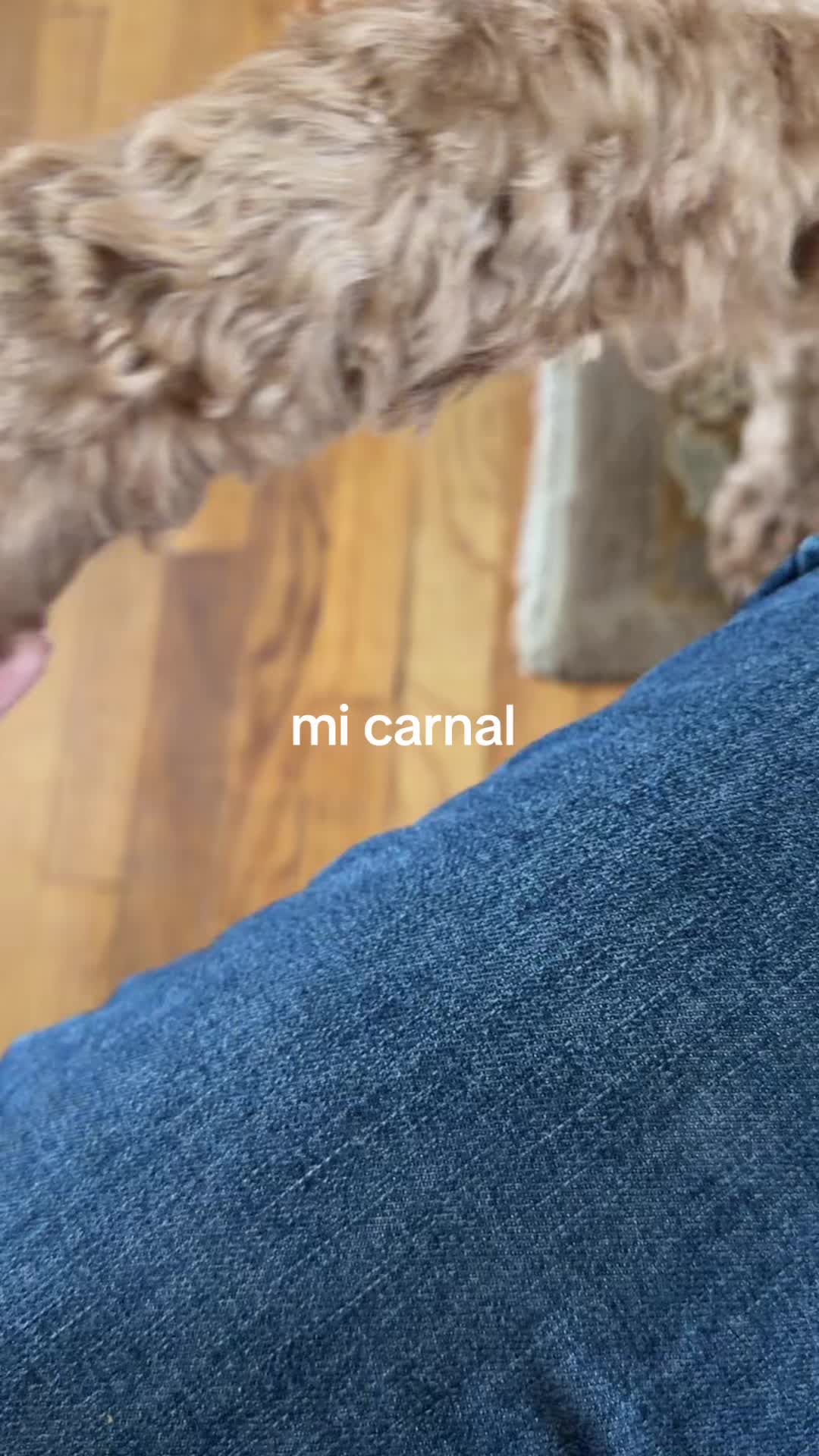 @݁˖ ❀ ⋆｡˚ caty ݁˖ ❀ ⋆｡˚