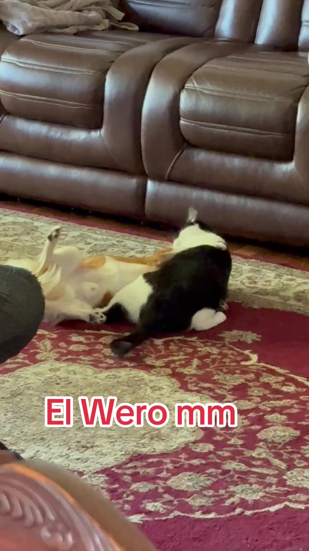 @El Wero mm