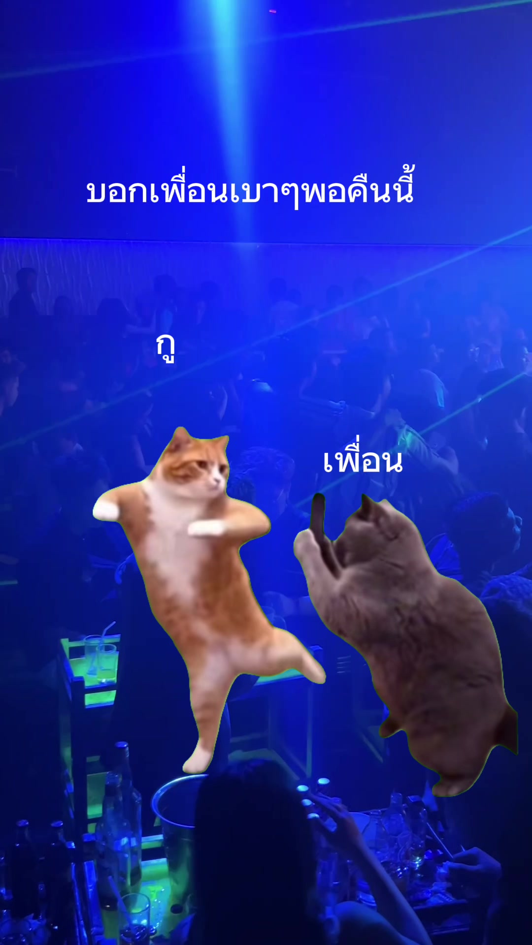 @Nectar