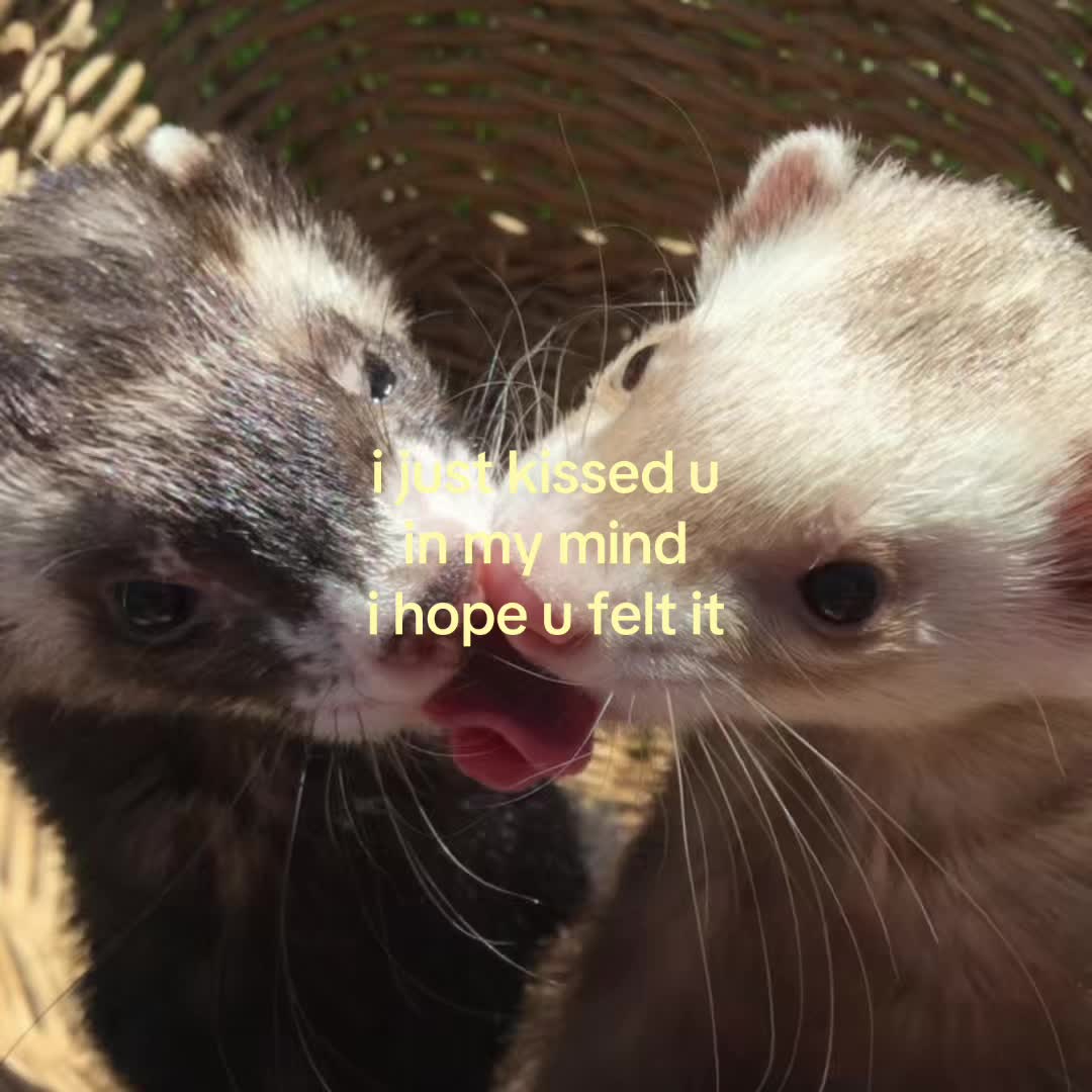 @motionsoflove