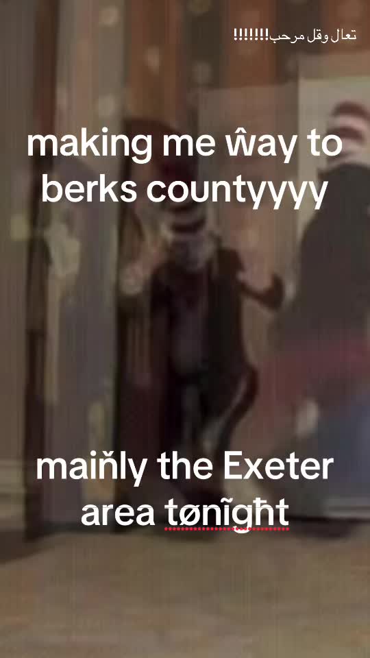 @catinthe_hat_