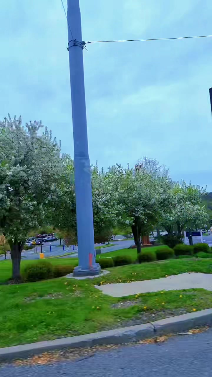 @🦋