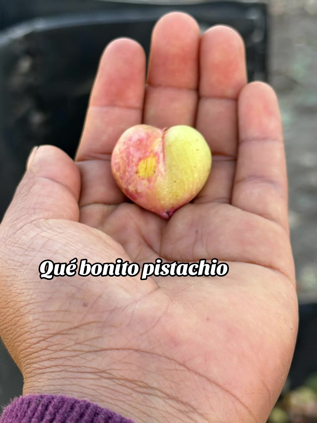 @valecita328