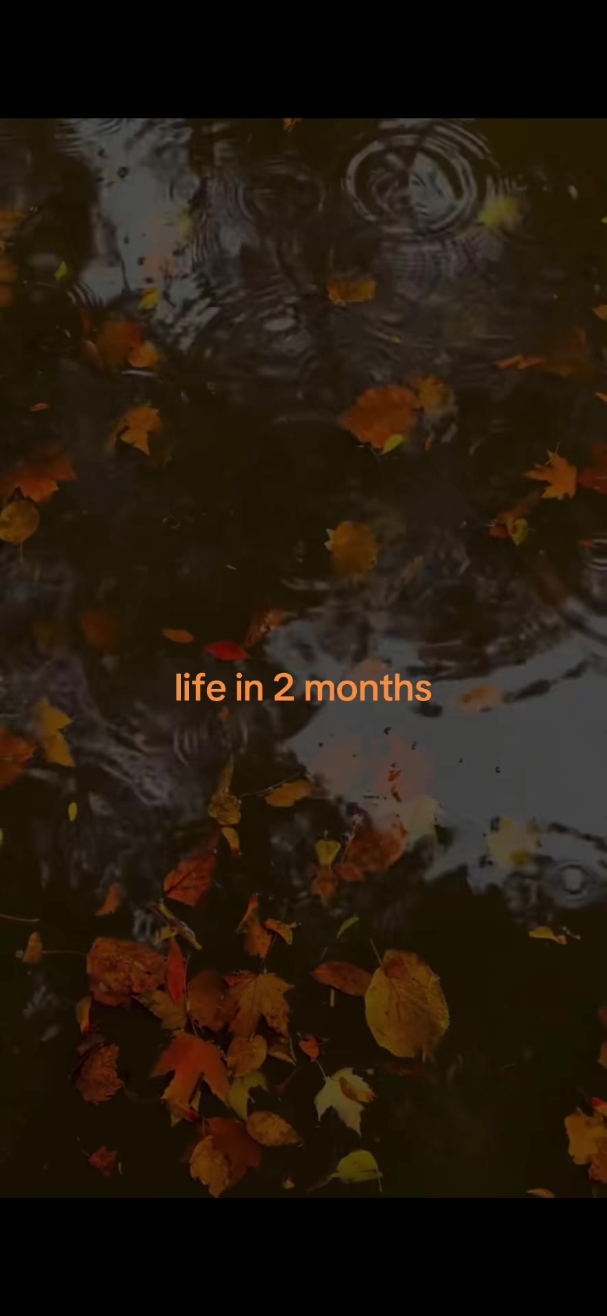@Cozyyseasons