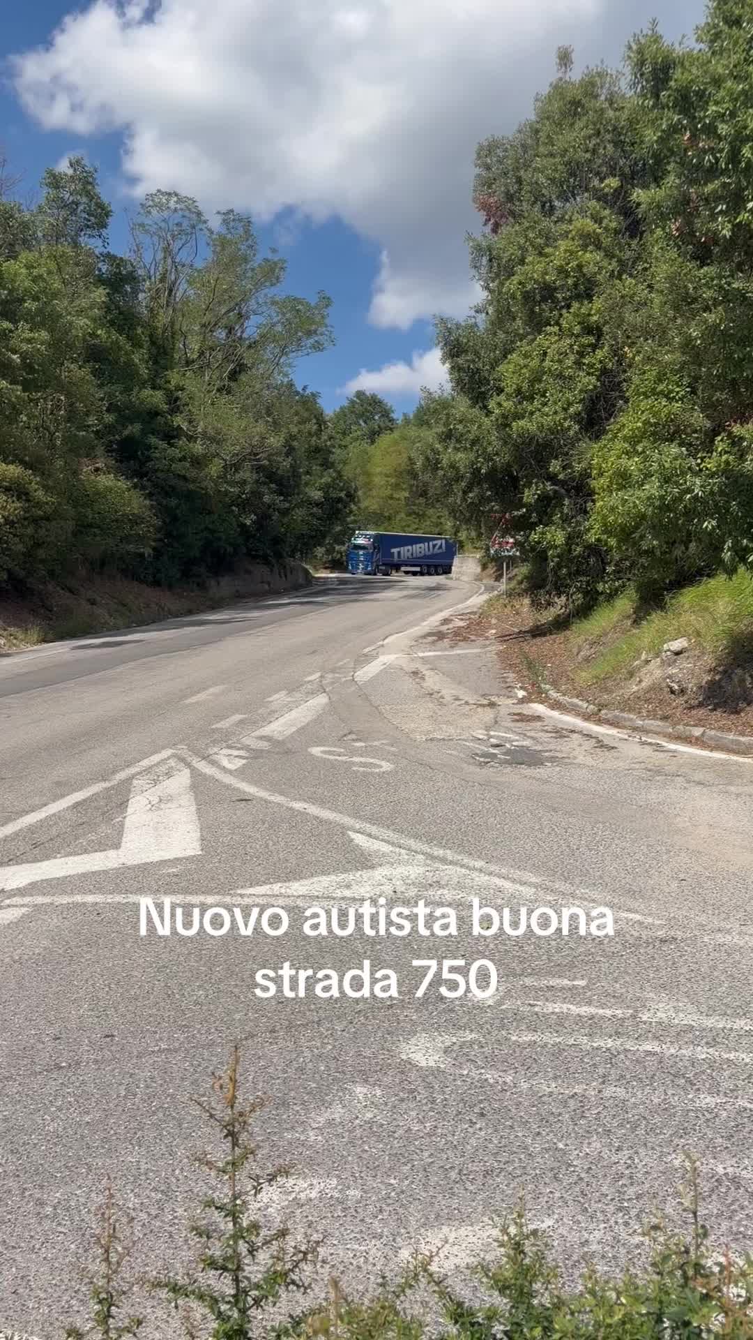 @stefanotiribuzi6