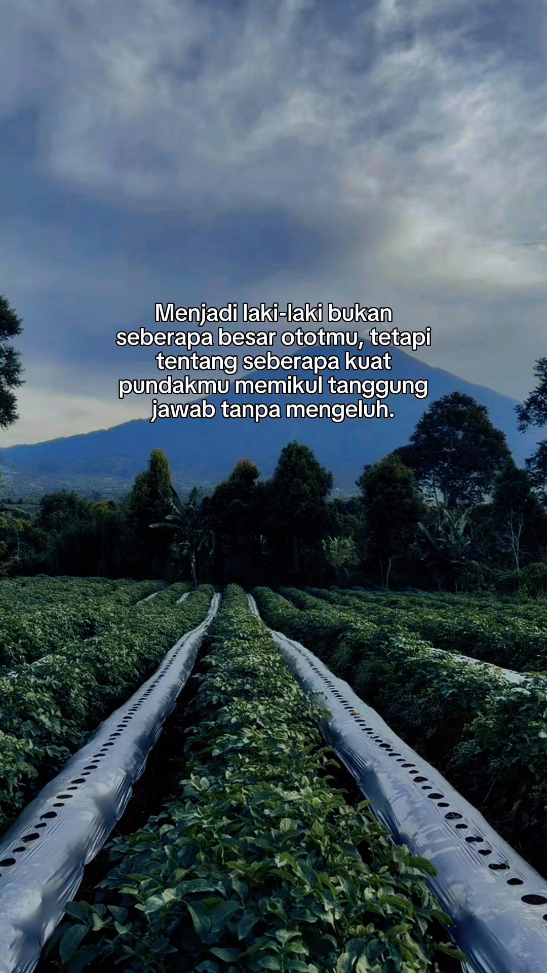 @nanda_setiawan_