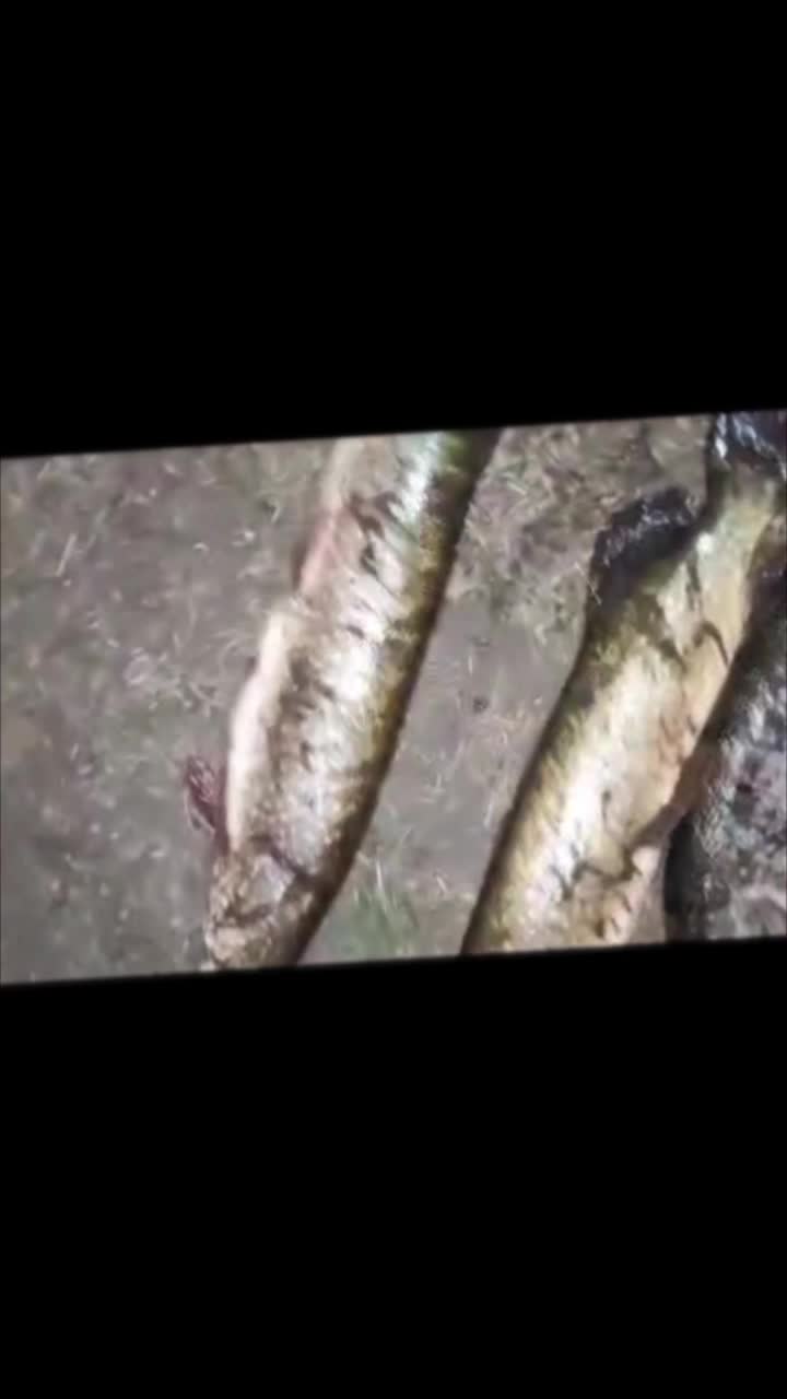 @Еленка 🫰
