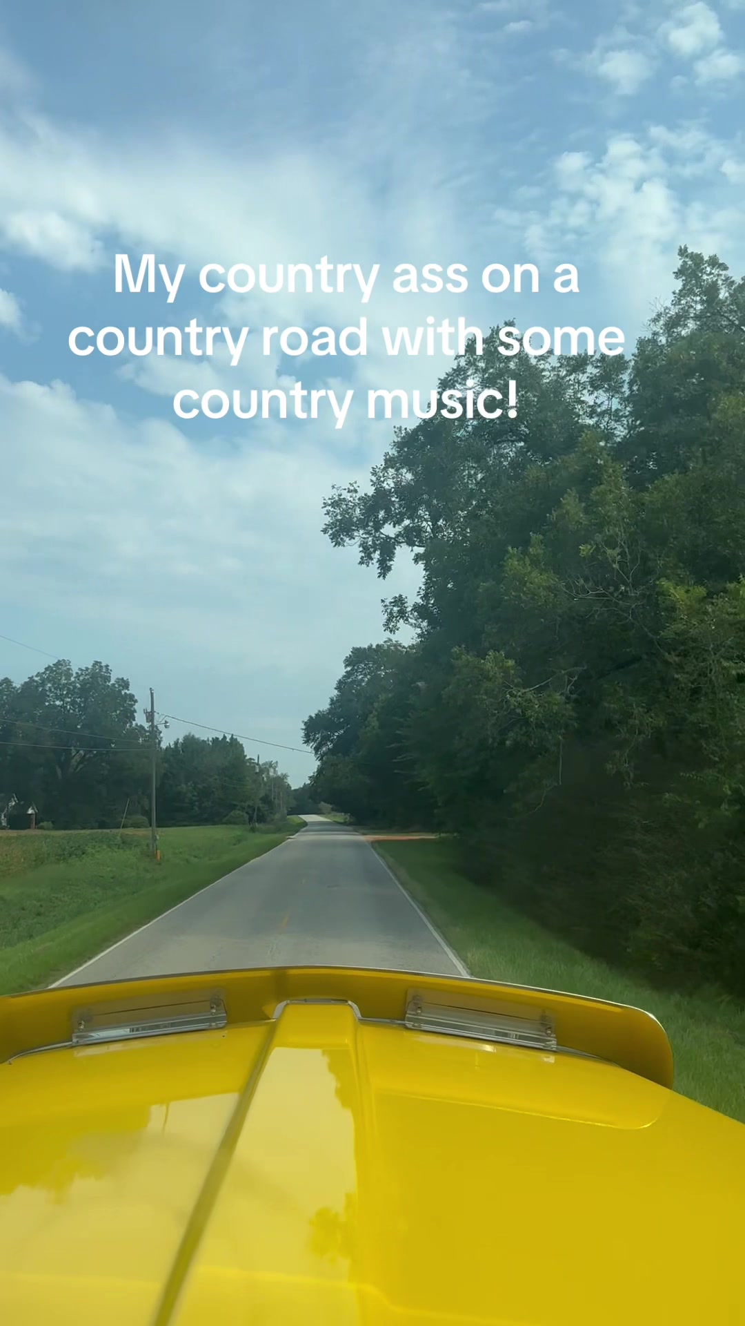 @Mullet