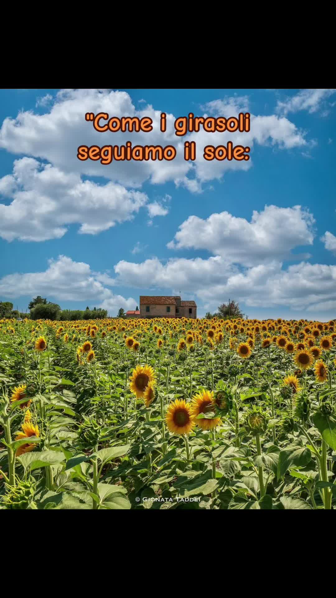 @PetyBordoni
