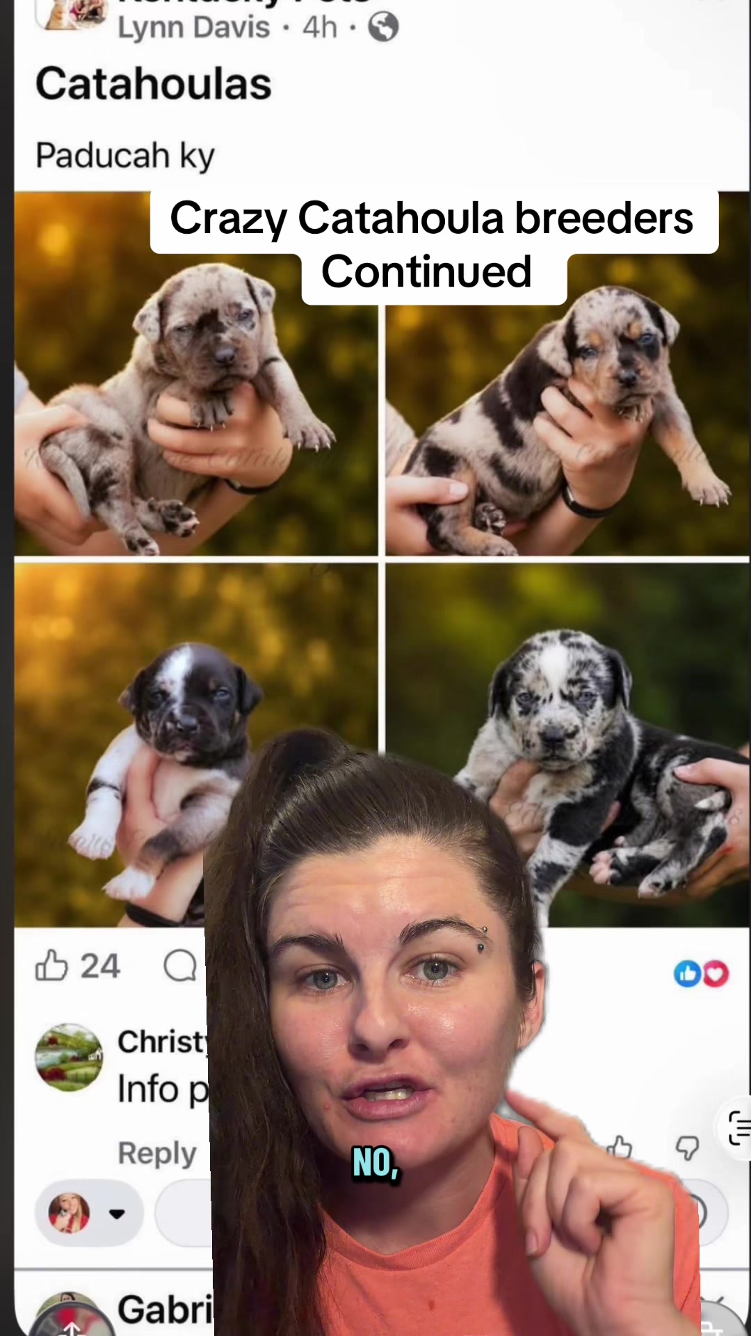 @Jess Shark🐾DOG PACK🐾