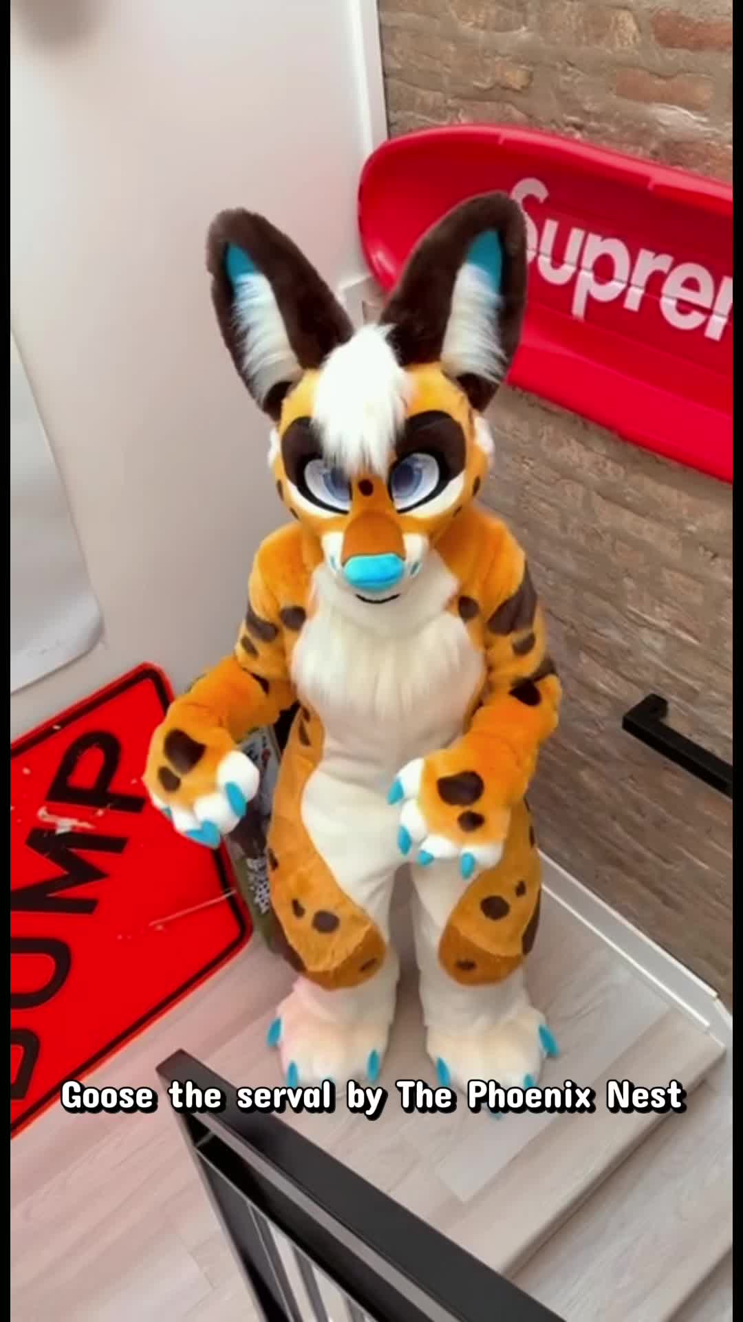 @PhoenixAWOO