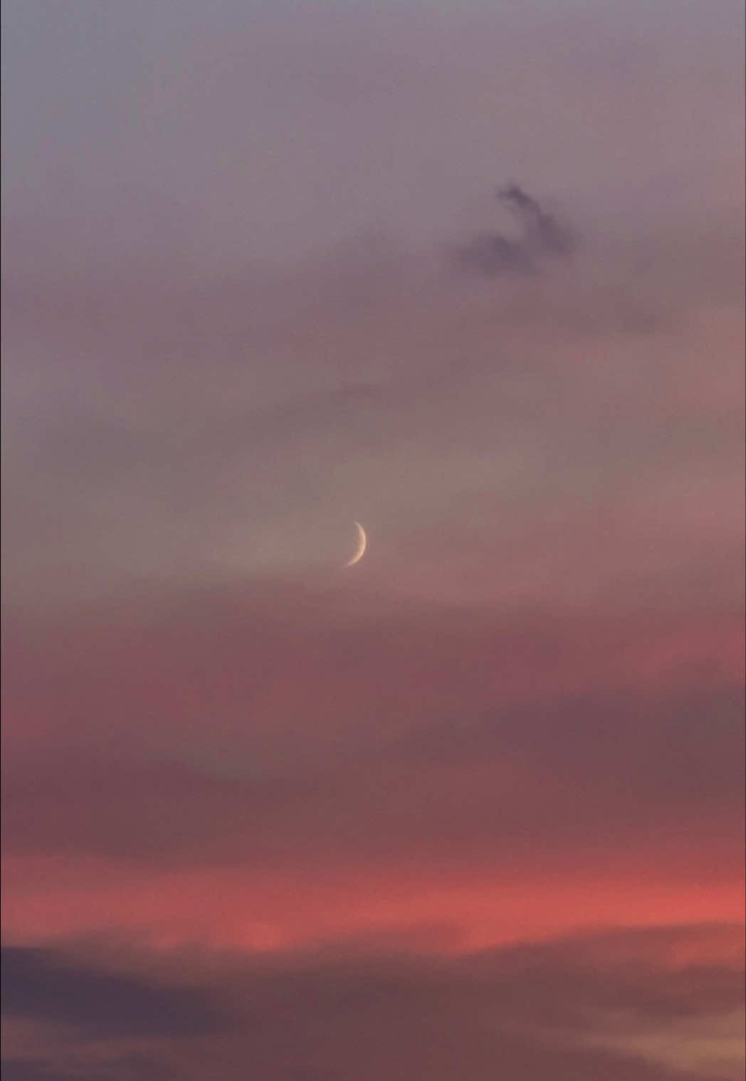 @Huseb &dagger;