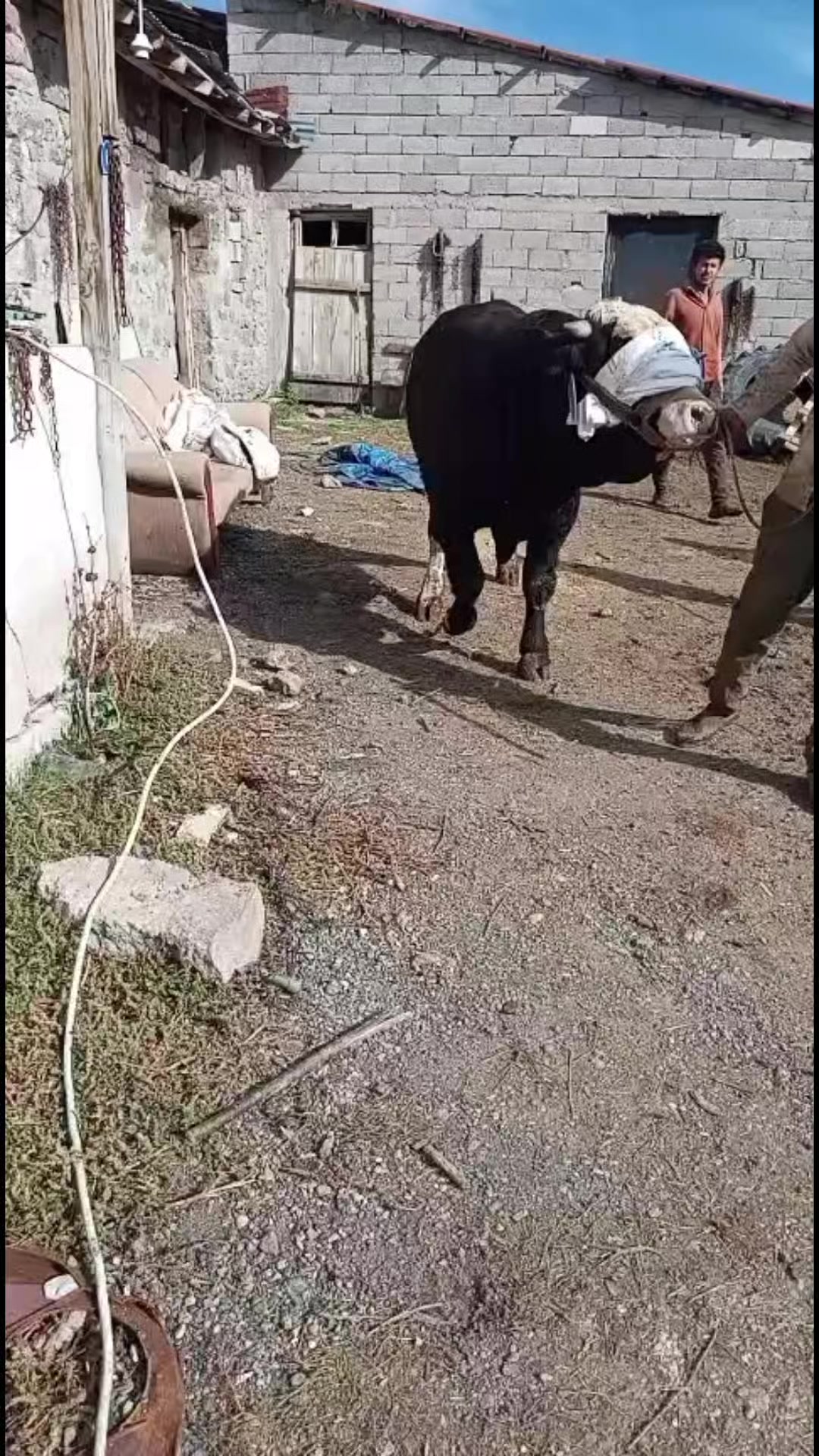 @Emre Gülmez