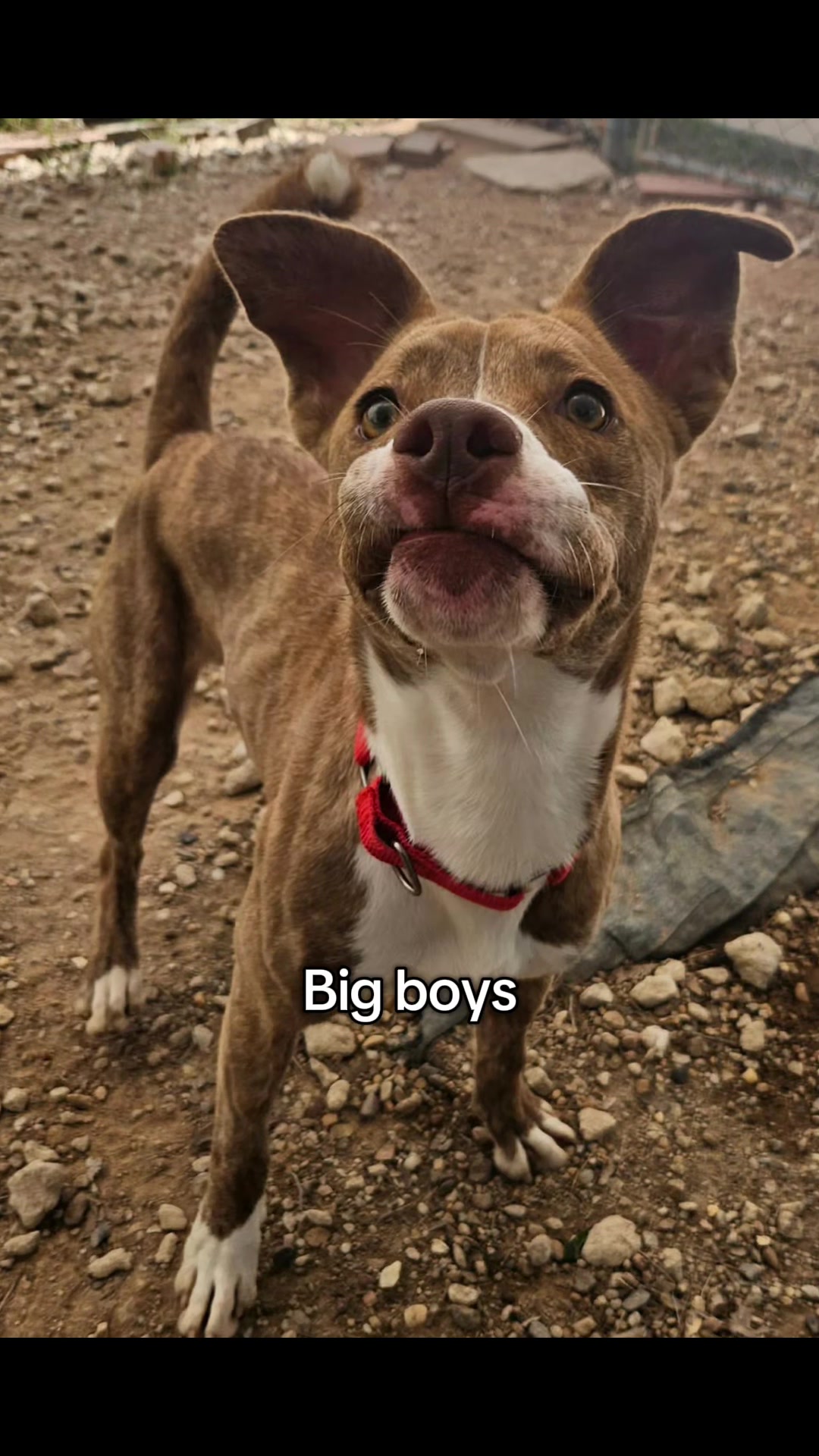 @Corridor Rescue Inc.