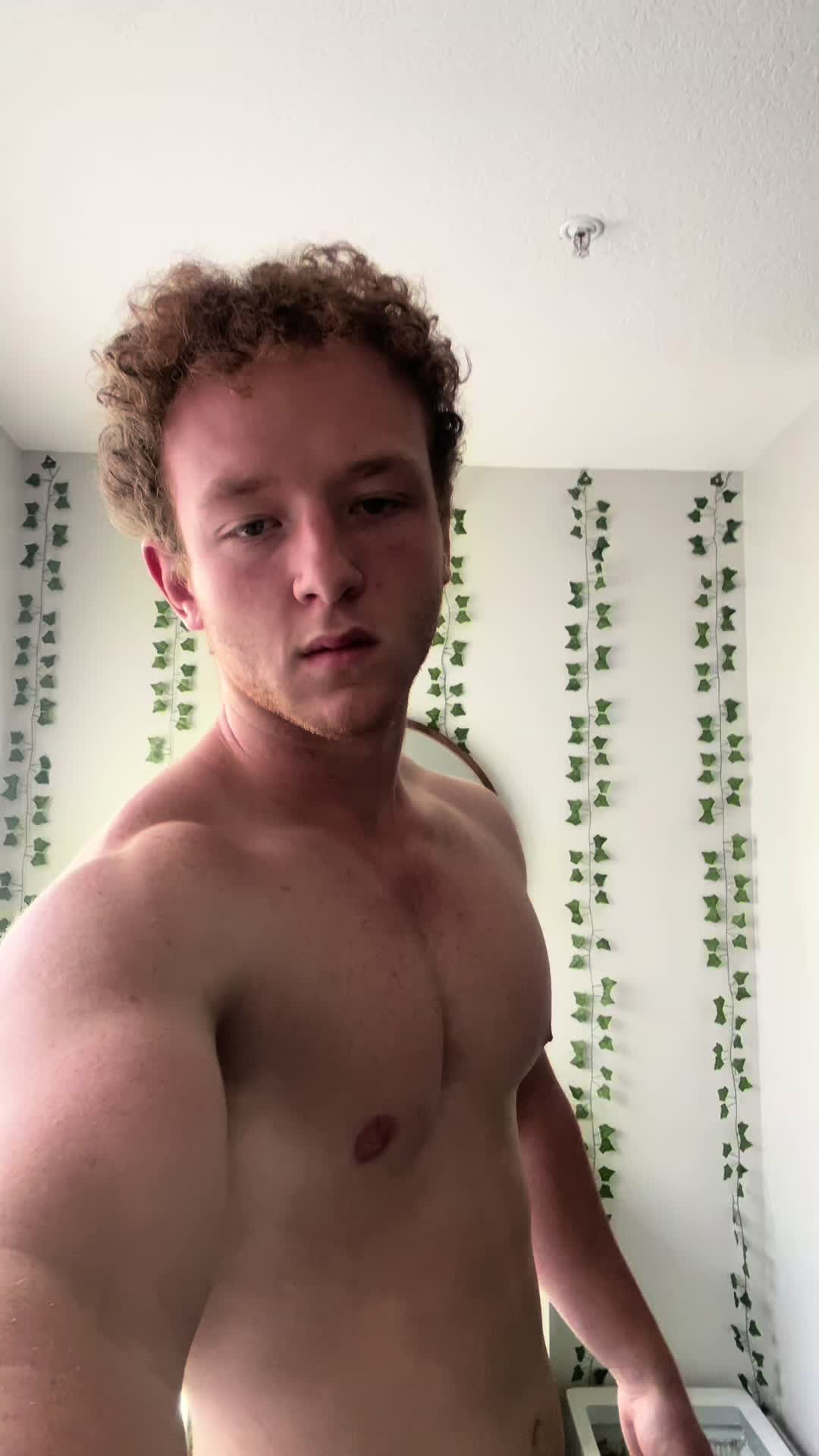 @small_ginger_