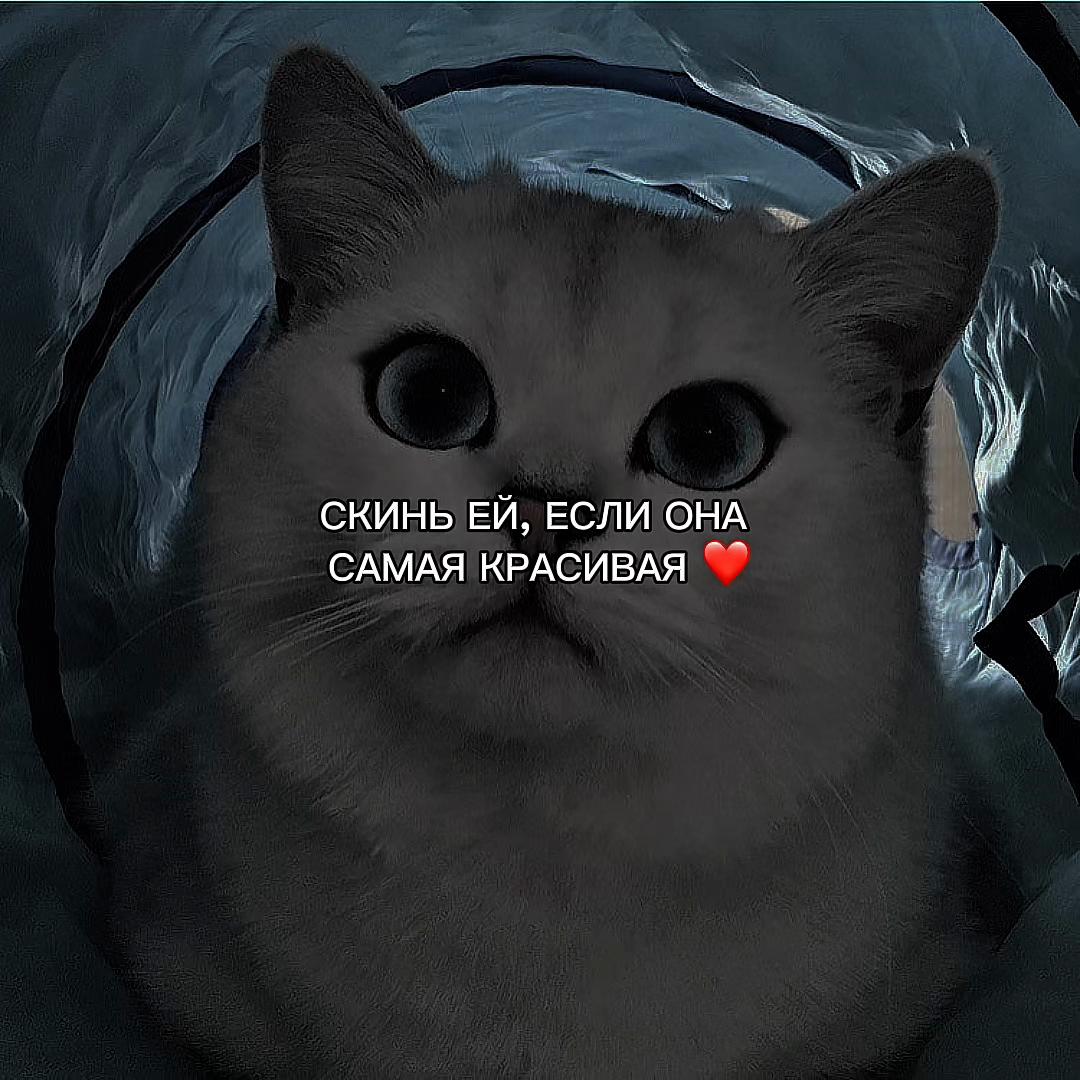 @ХХИКА