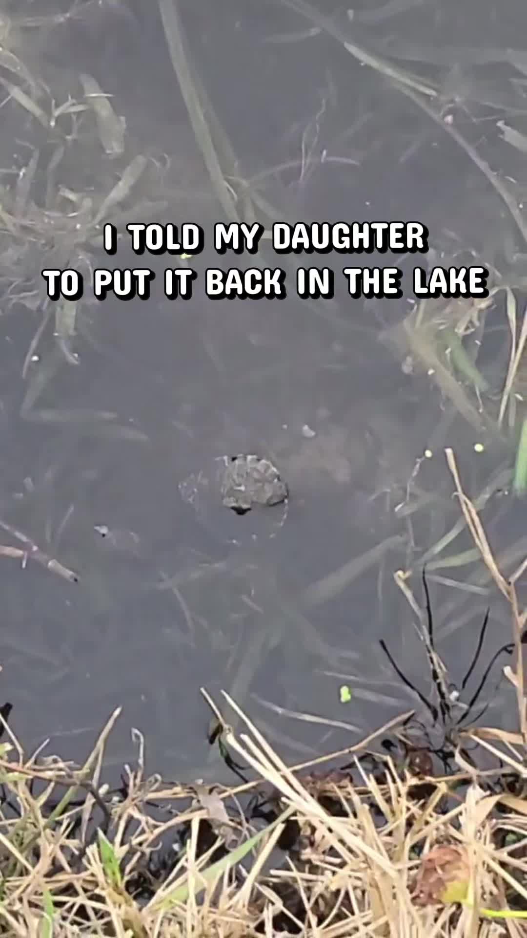 @just-random-stuff