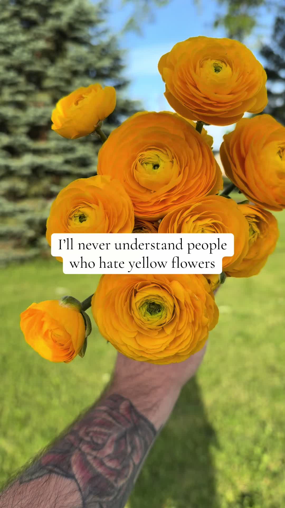@Christopher | Flower Farmer