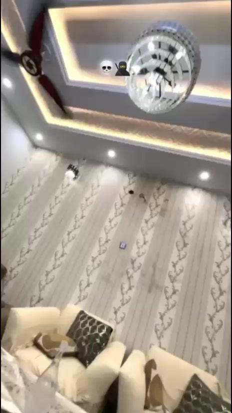 @jutt
