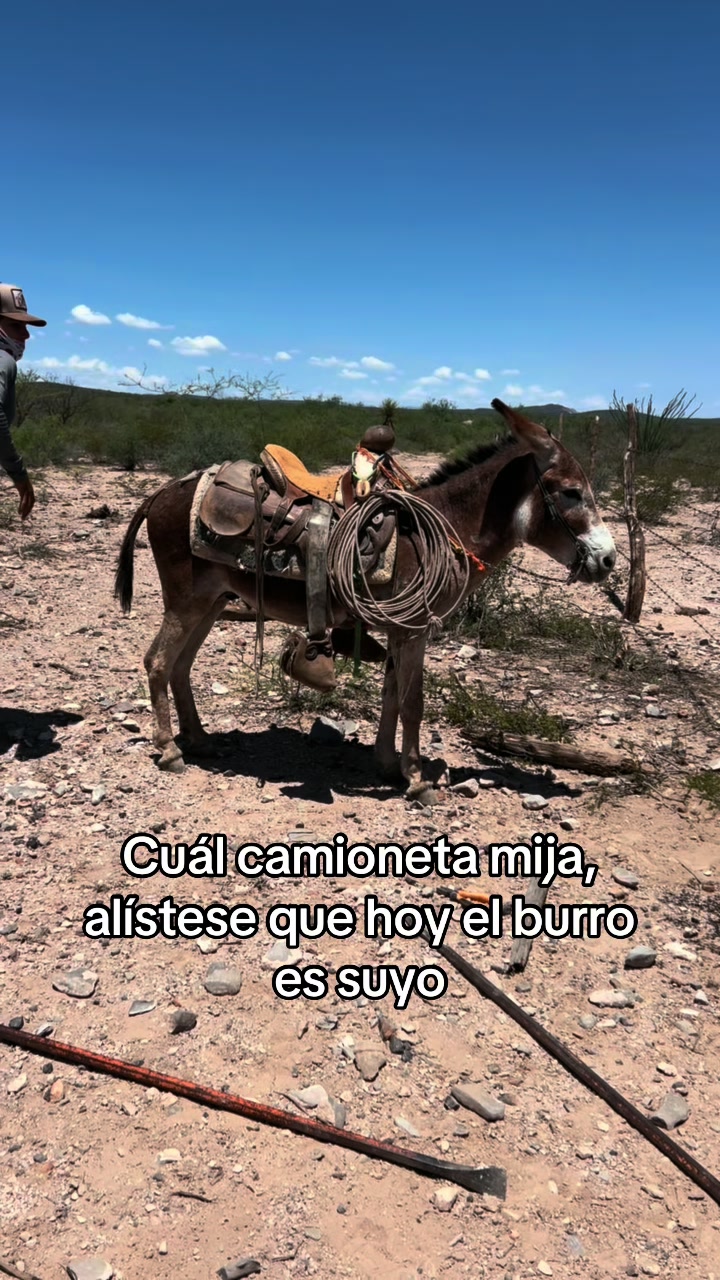 @Naum Amaya Ochoa