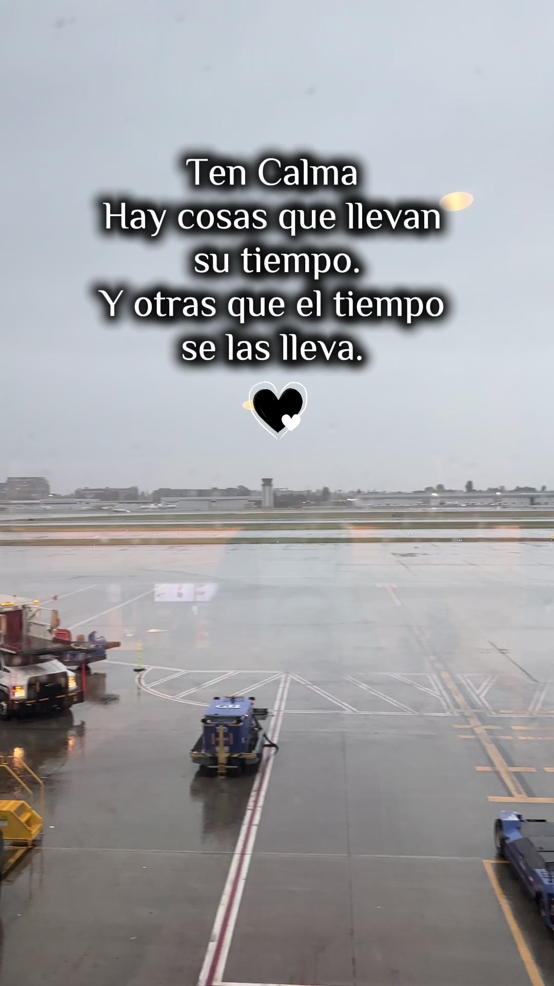 @Elisa Mendoza🖤