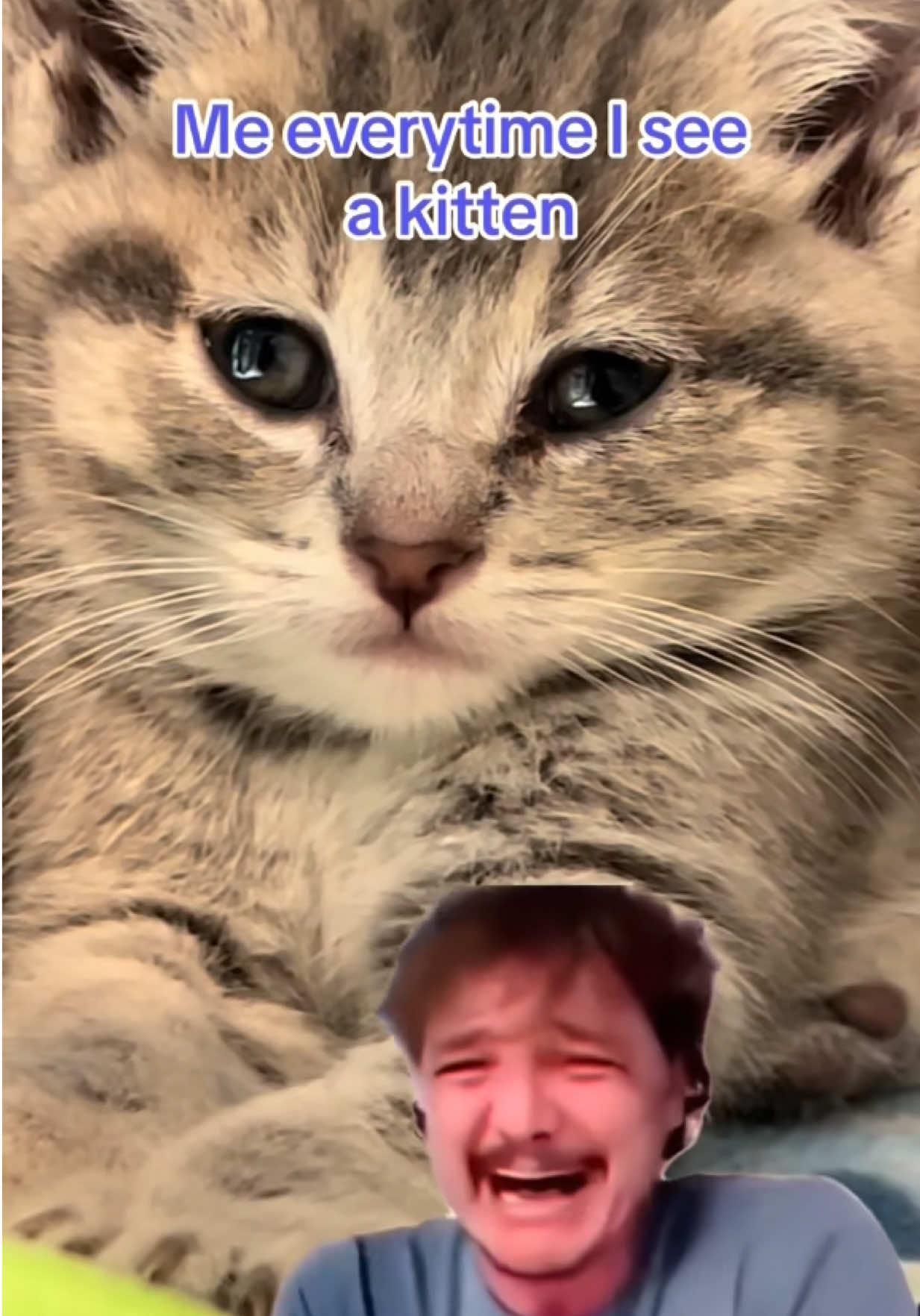 @Frankies_Fosters