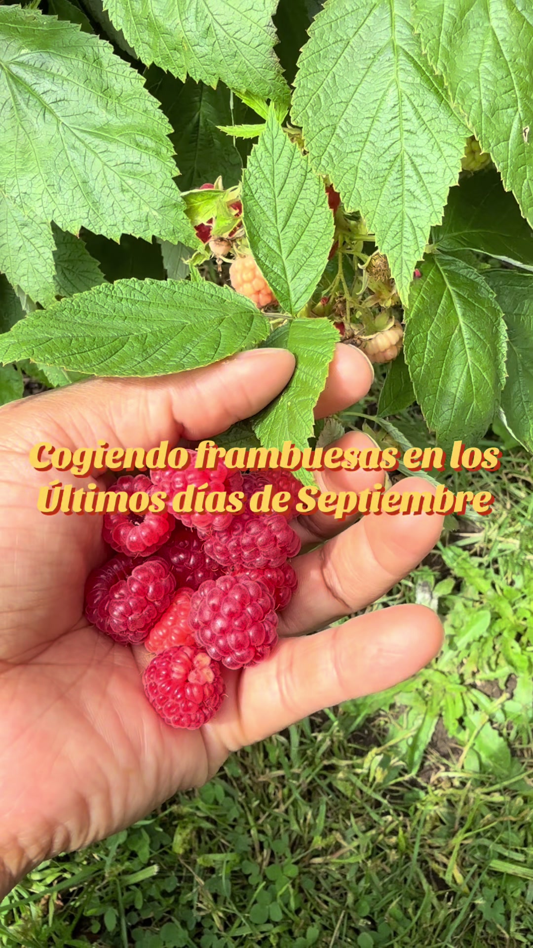@Veronica Castillo