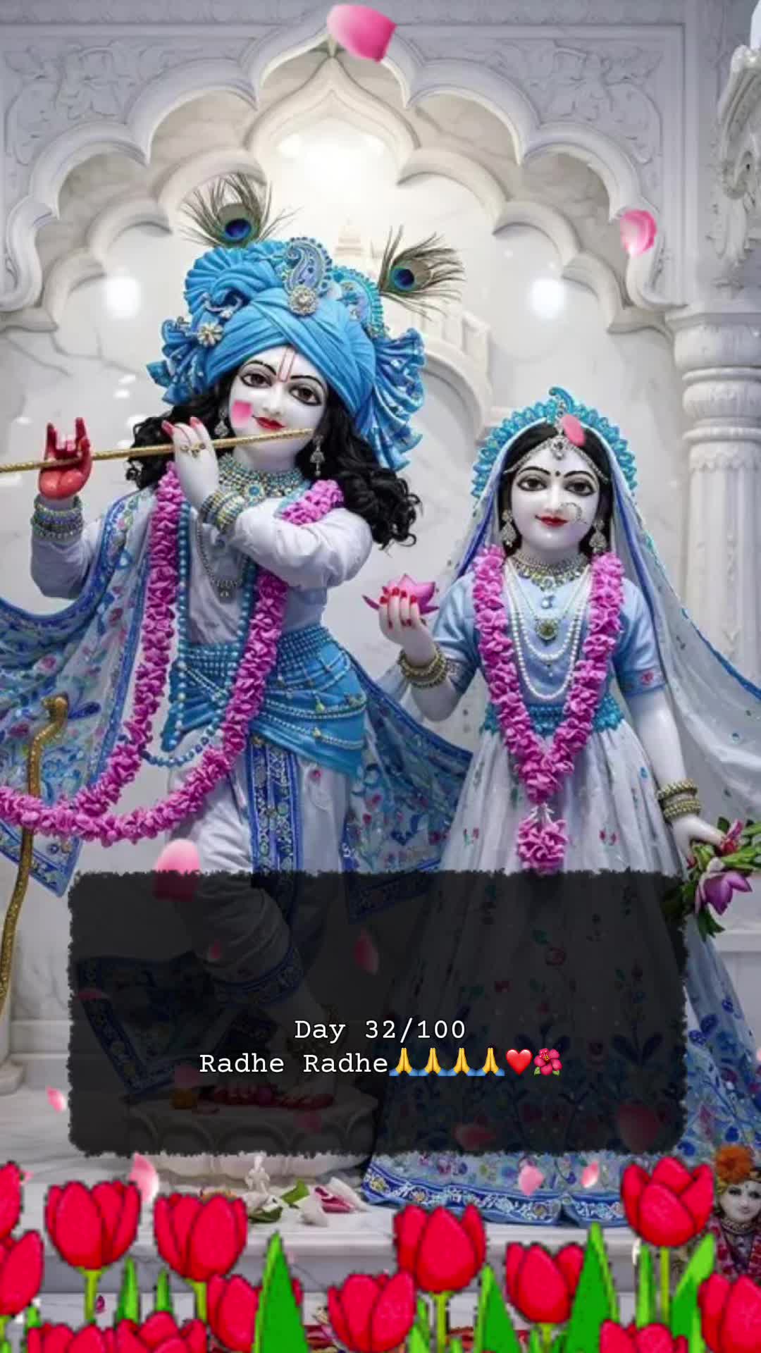 @RadheKrishna🦚🦚🙏🙏