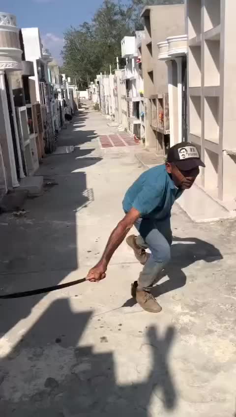 @Michael El Pri 😎