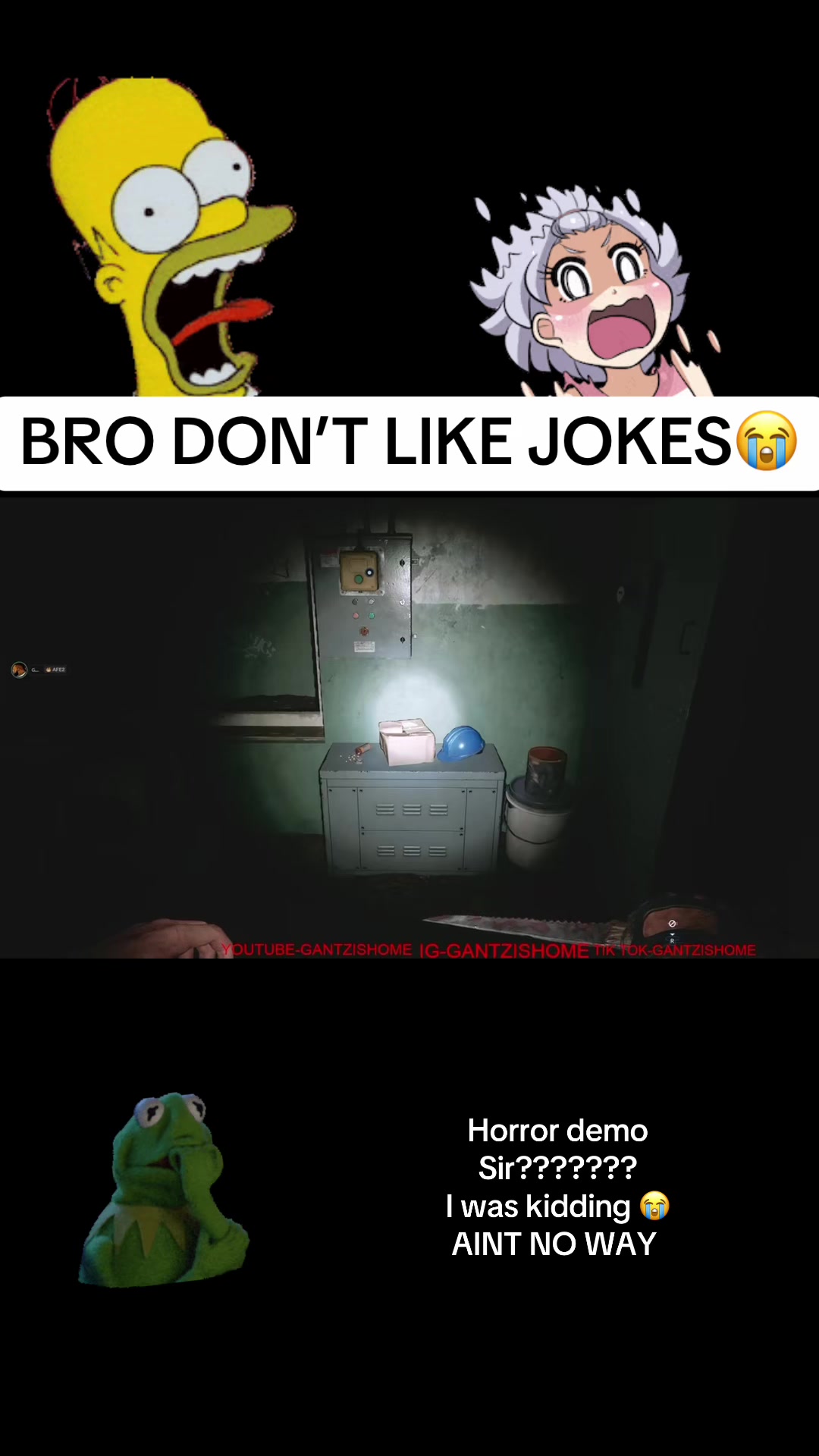 @gantzishome