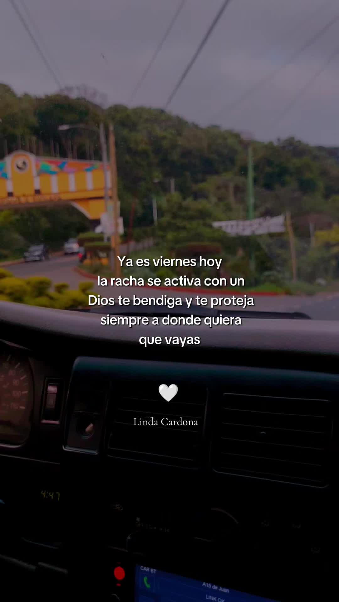 @Linda Cardona 🪼🪐