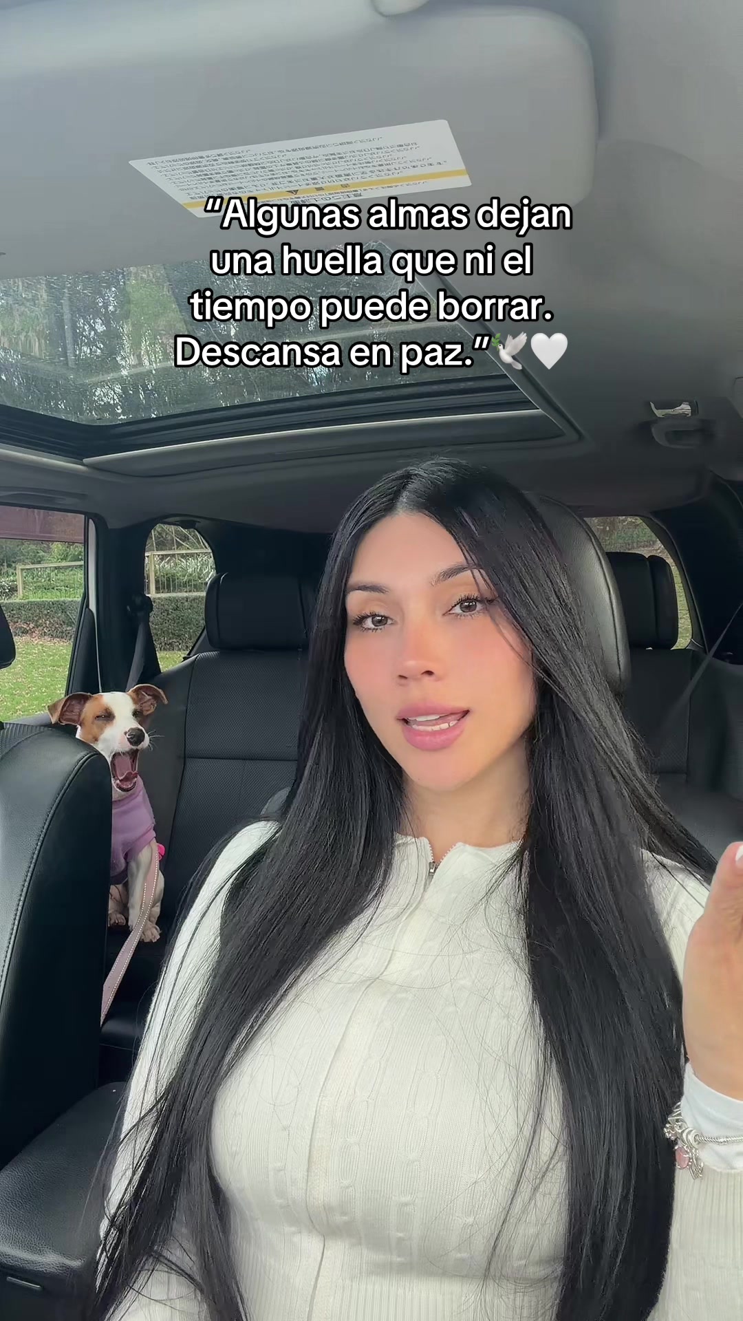 @Valeria H