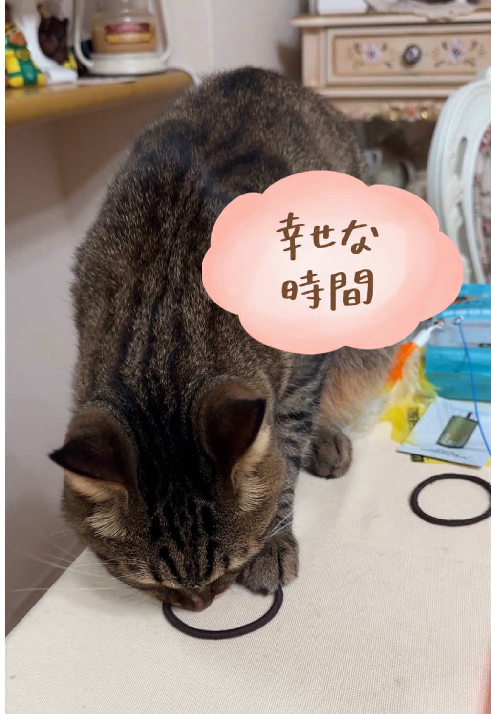 @さっことおちょ