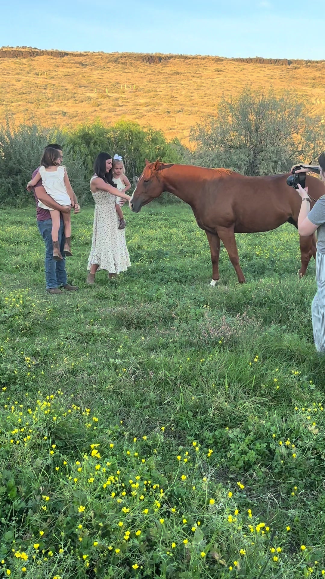 @Hot Sauce the Mini horse 🐎
