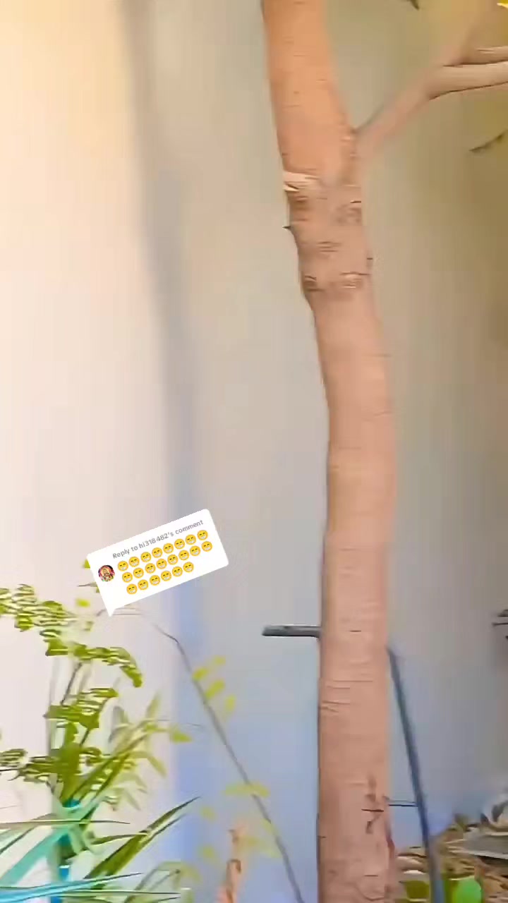@பேப்பர் ஐடி    248 🌹1