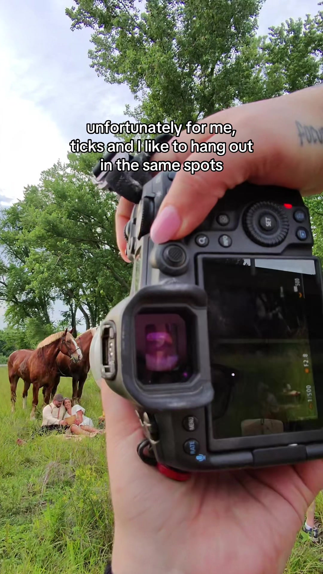 @Tisha 📸🦄 Equestrian Photog