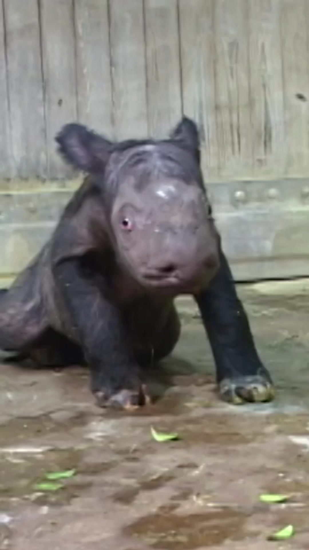 @Cincinnati Zoo