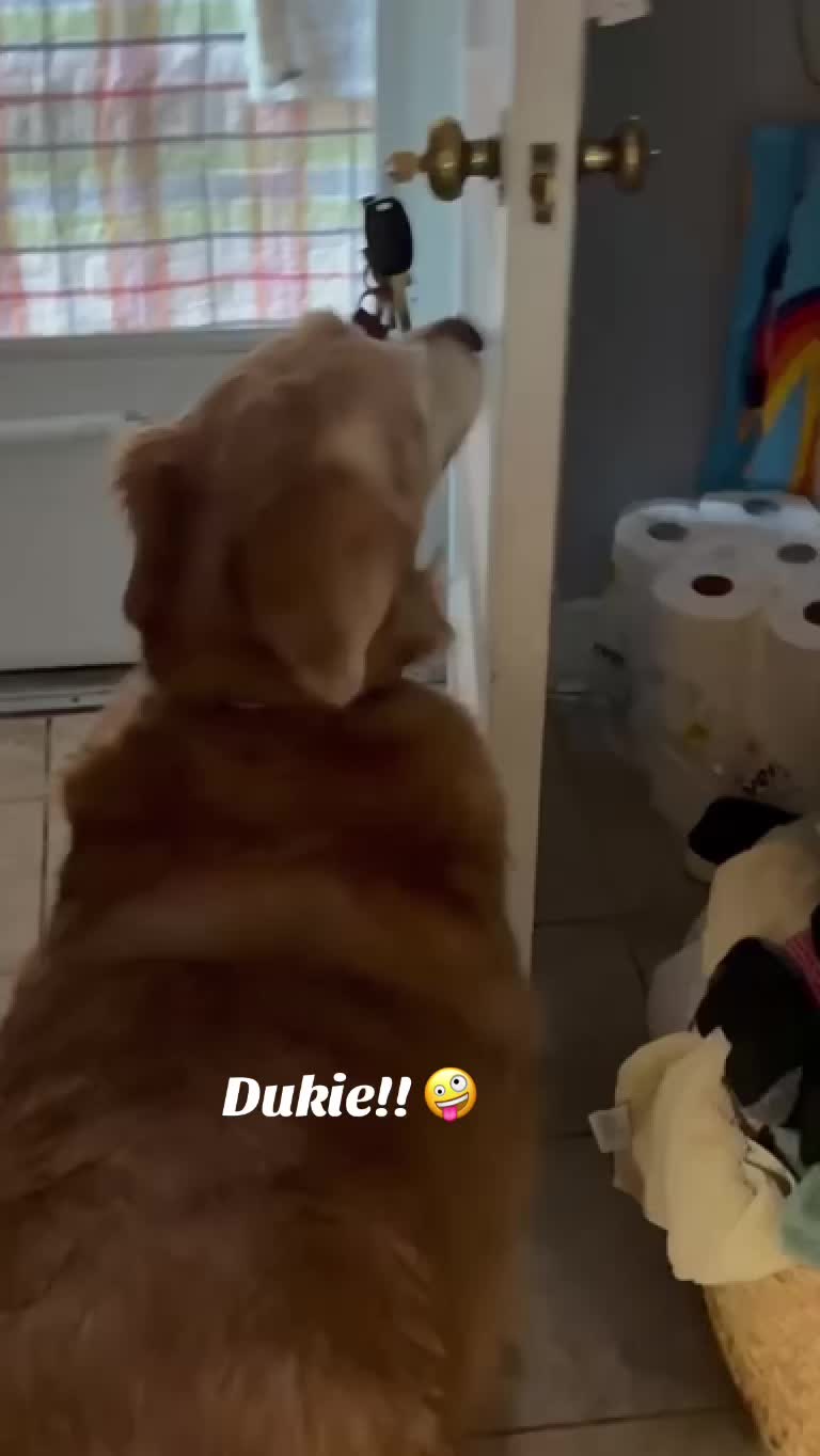@lifewithduke2025