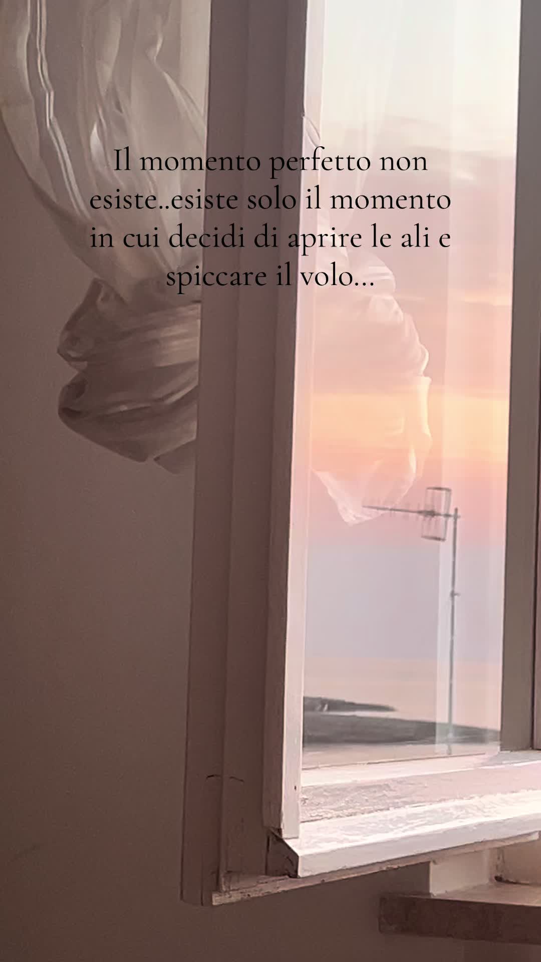 @Luna Chiena