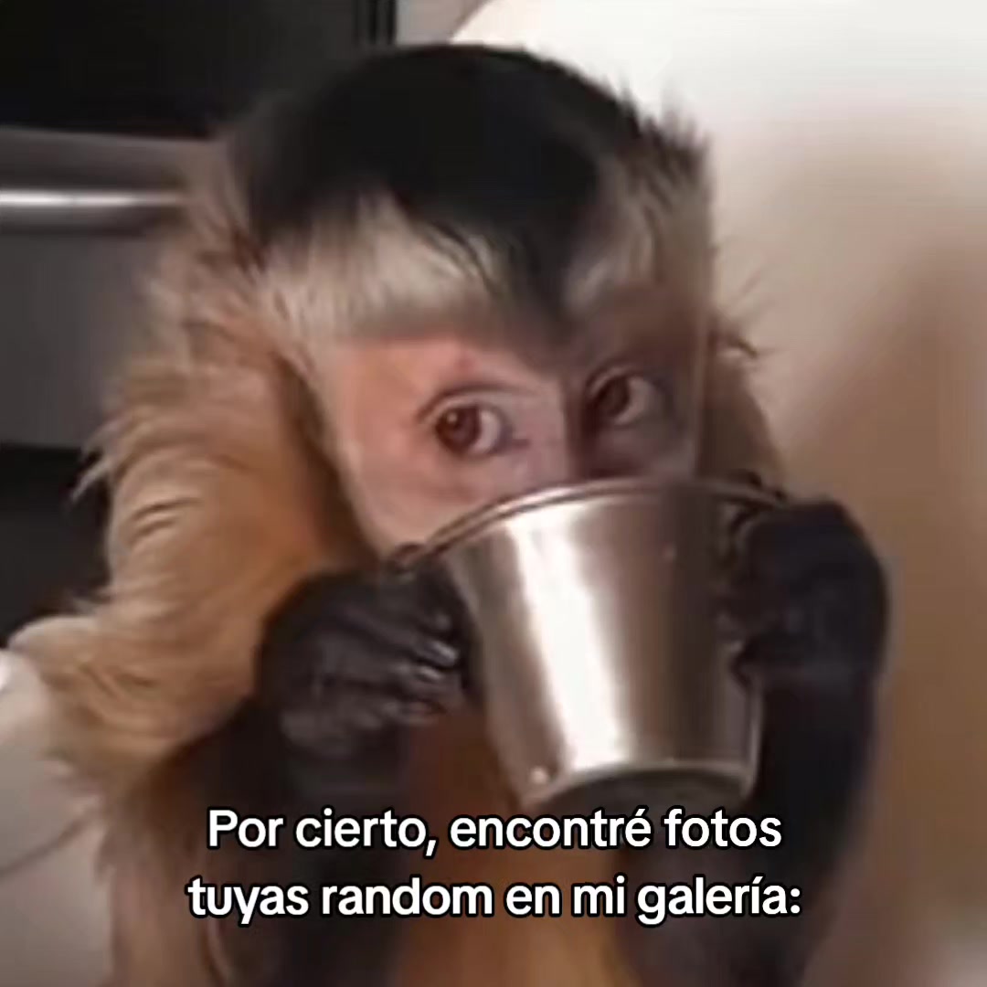 @goodvibessxd