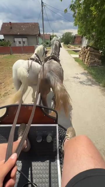 @⛔️AntunGrgić⛔️