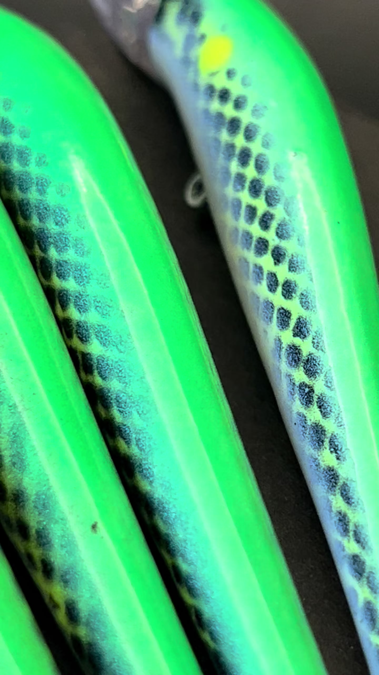 @ReelMichiganAnglers