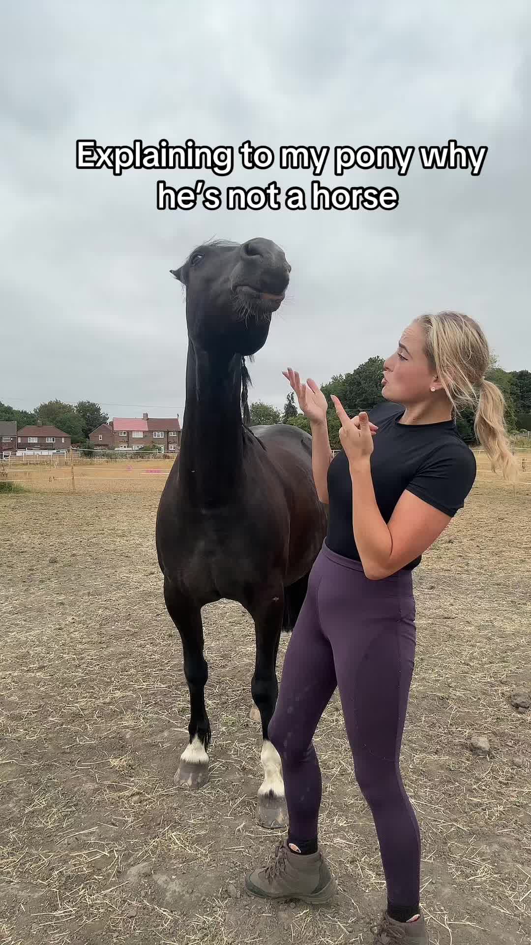 @Shannslife