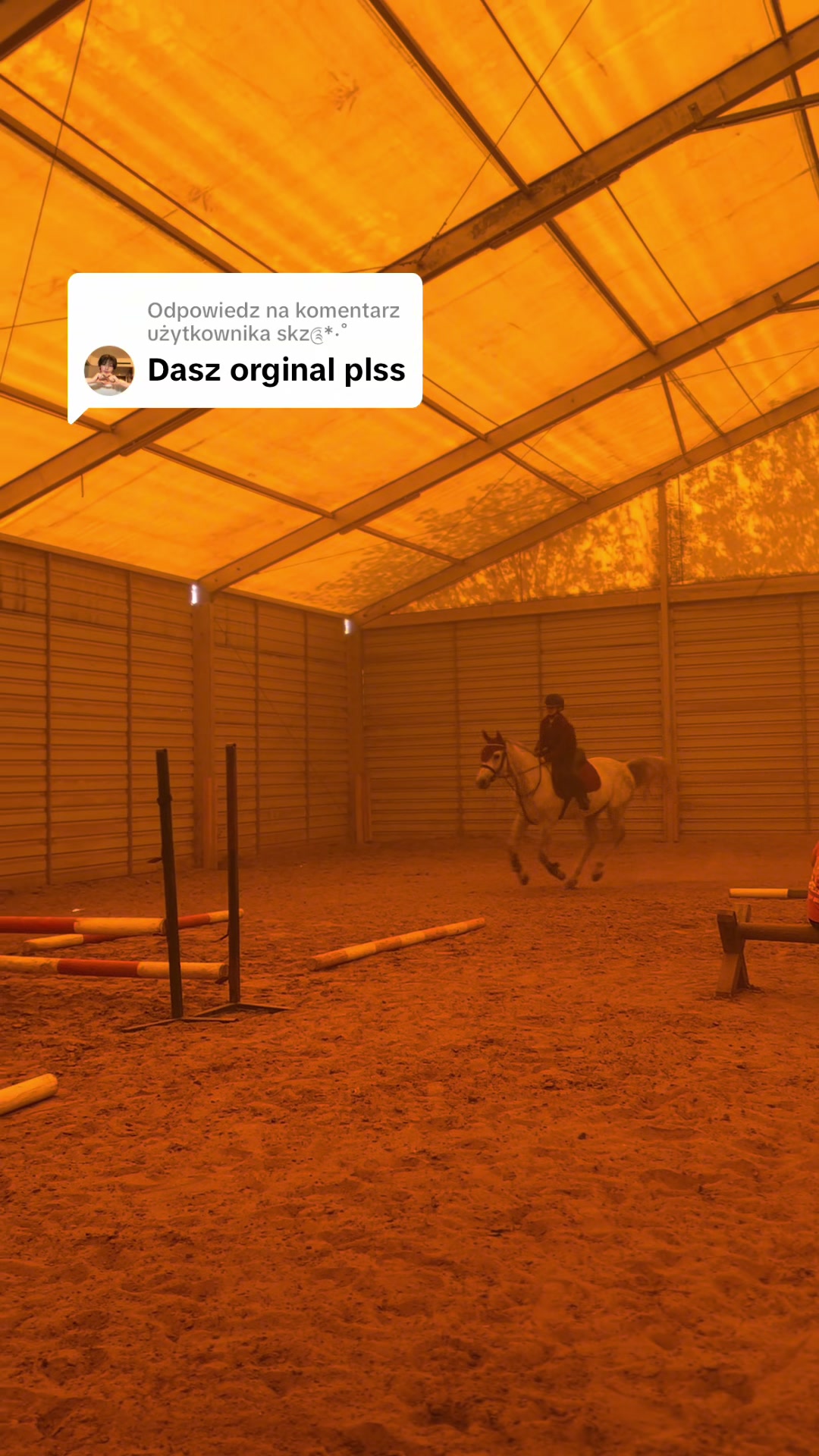@😻🐴Eq._.N🐴😻