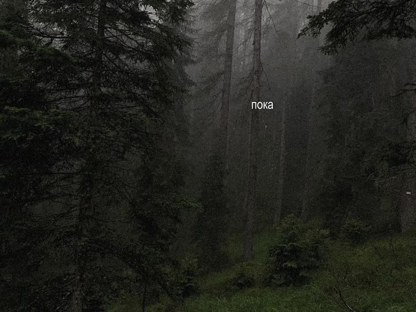 @звуки для липсингов