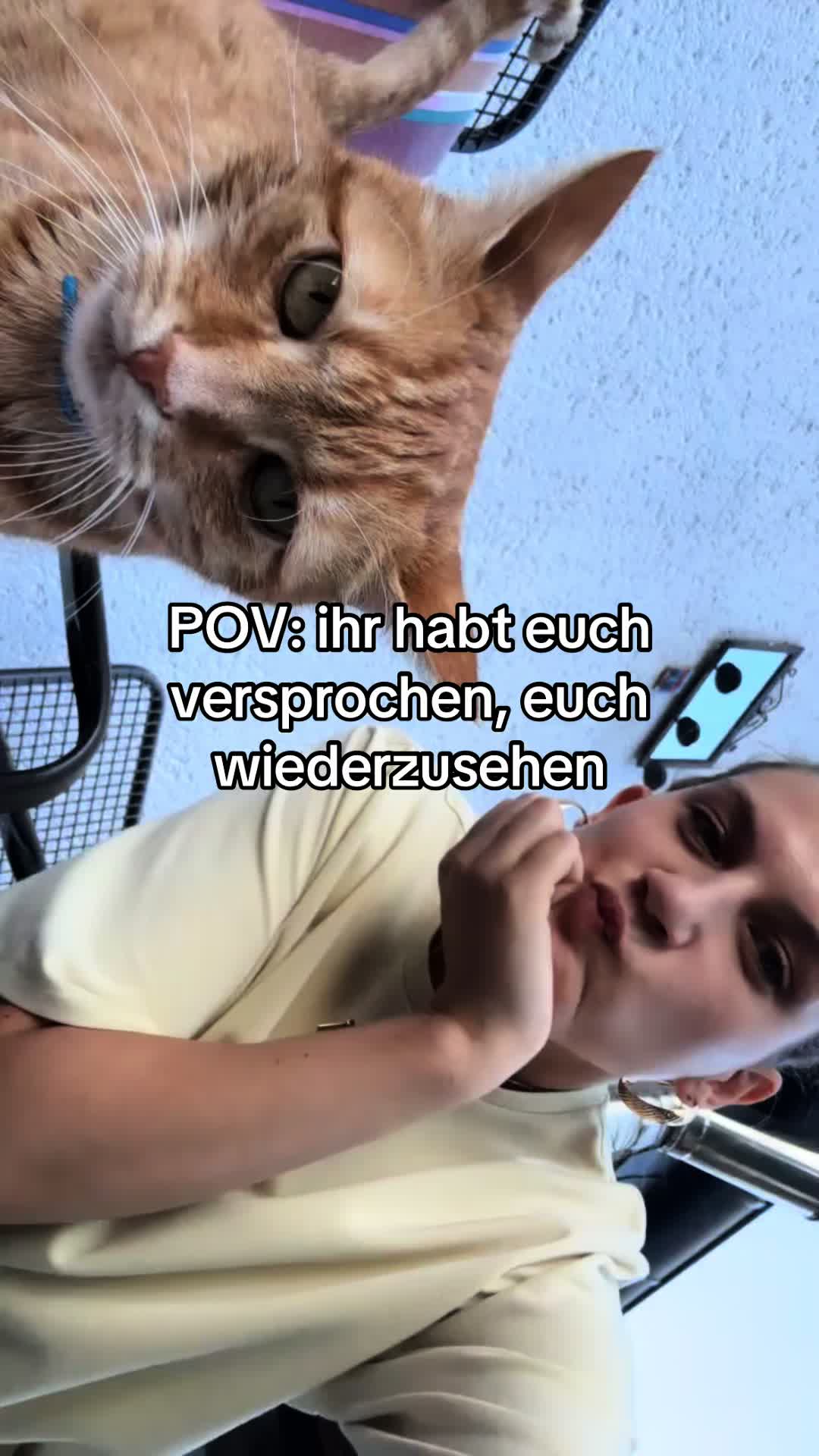 @Giovanna