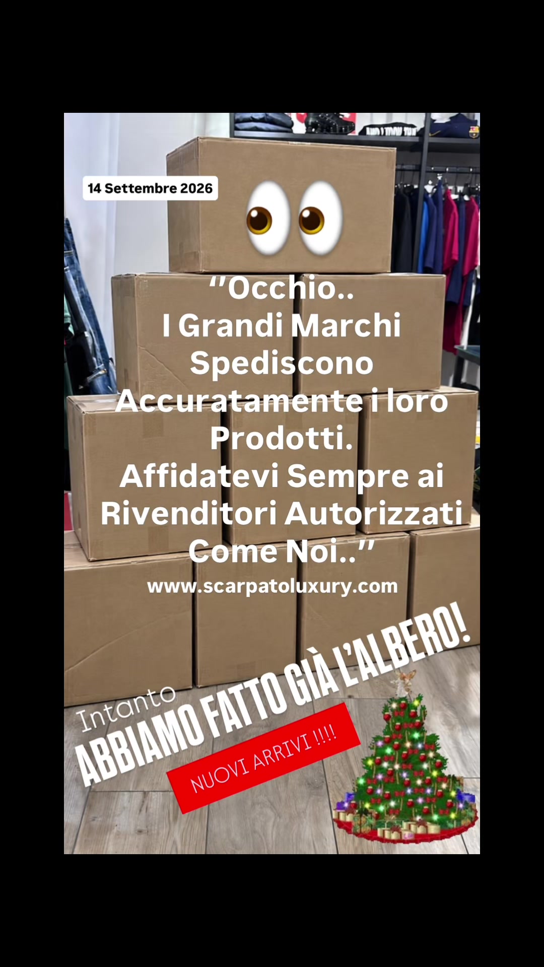 @SCARPATO LUXURY