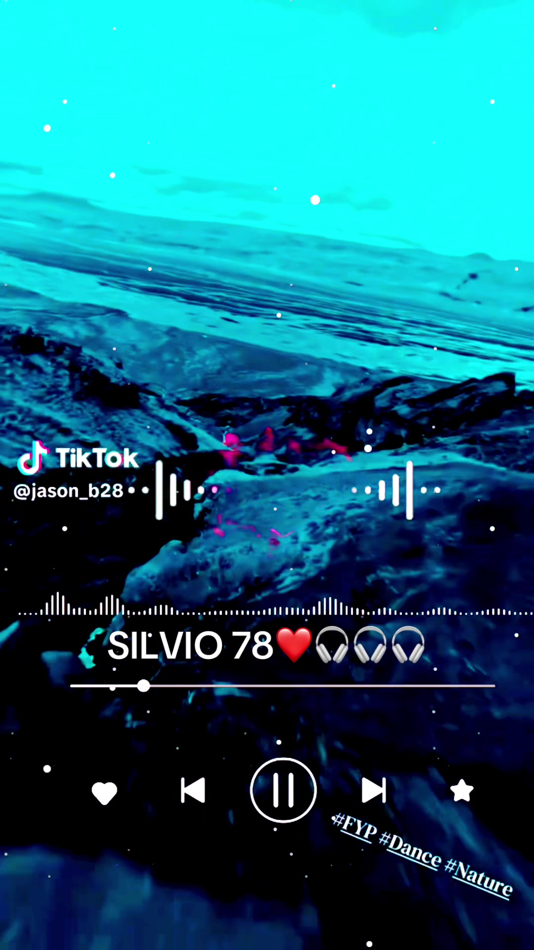 @SILVIO 78