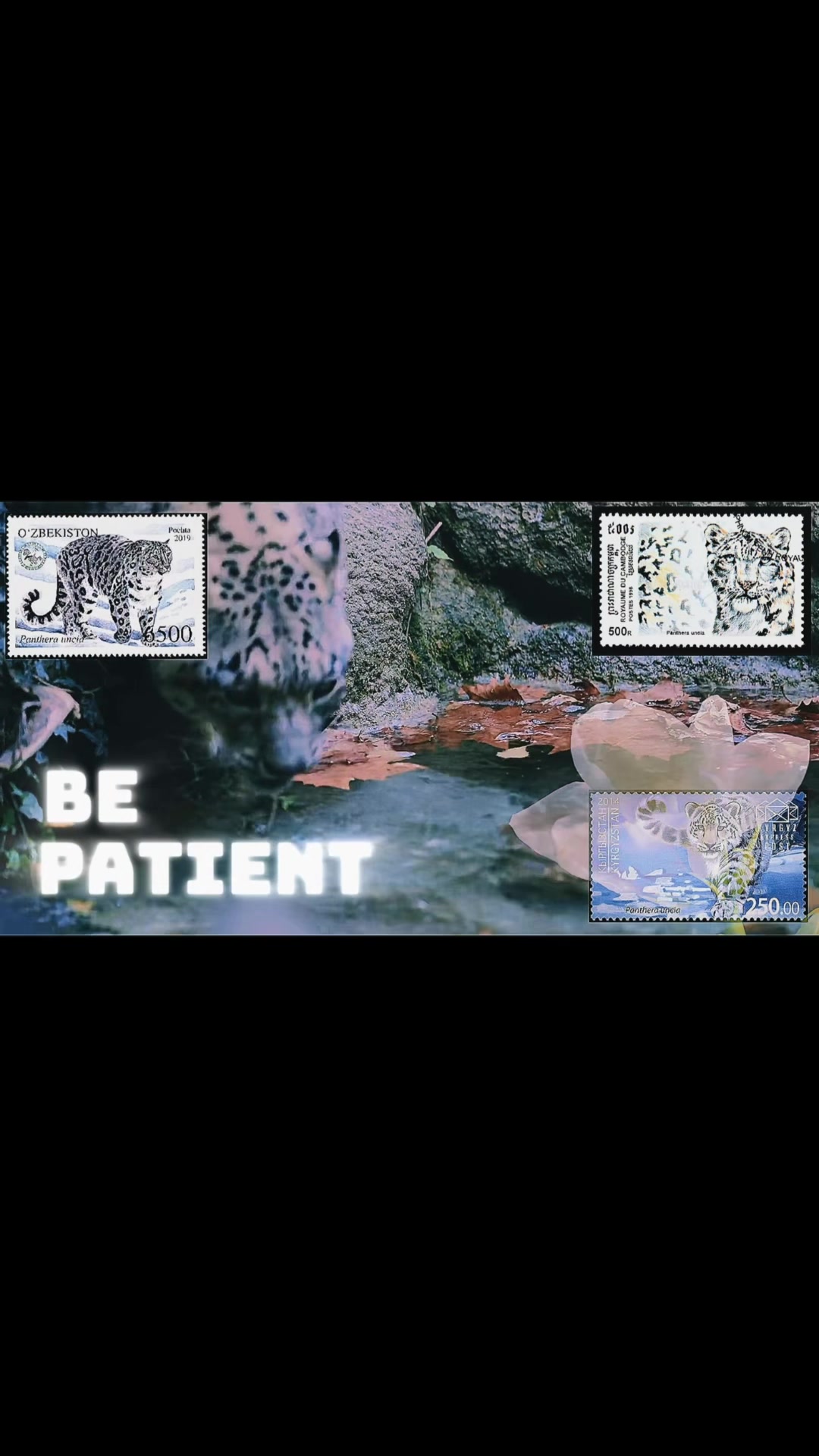 @evangelinecut.vfx